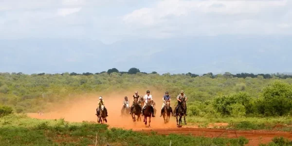 For the adventurist. Spot the ‘Big 5’ on horseback and enjoy fine dining & pampering.