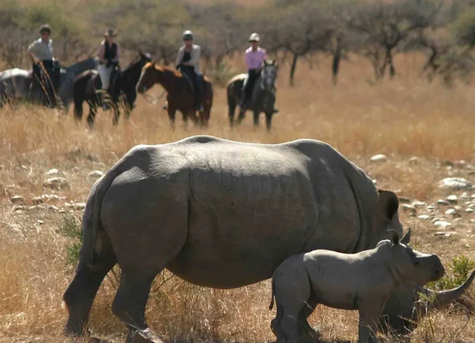 Bespoke Luxury Holidays - Kruger National Park