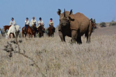 Bespoke Luxury Holidays - South Africa - 'Big 5' on Horseback