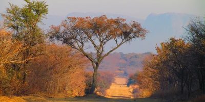 Bespoke Luxury Holidays - South Africa - Winter in South Africa